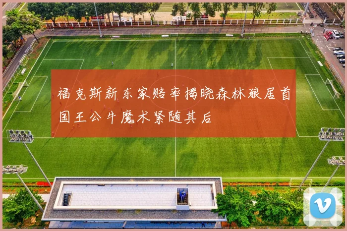 福克斯新东家赔率揭晓森林狼居首国王公牛魔术紧随其后